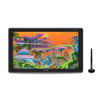 HUO Graphics tablet Huion Kamvas 22 Plus
