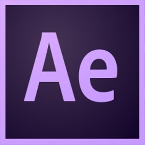 Adobe After Effects Government (GOV) Renewal Multilingual 12 month(s)