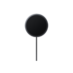 Samsung EP-P2900TBEGWW accessoire voor smartphones & mobiele telefoons