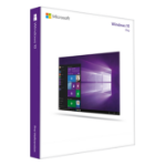 Microsoft Windows 10 Pro 1 license(s) FQC-09131