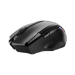 Trust GXT 131 Ranoo mouse Right-hand RF Wireless Optical 4800 DPI