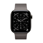 Apple 42mm Slate Link Bracelet