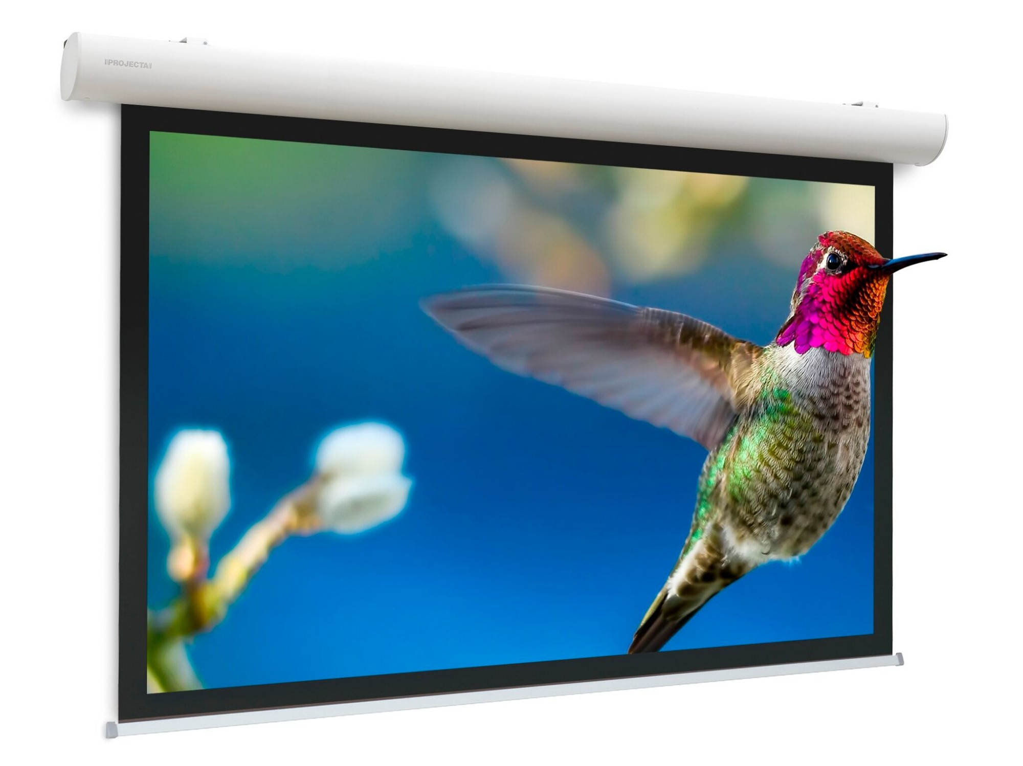 Da-Lite Elpro Concept projection screen 4.37 m (172") 16:10