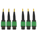 Tripp Lite N392B-15M-3X8AP InfiniBand/fibre optic cable 590.6" (15 m) 3x MTP/MPO Green, Black, Yellow