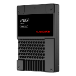 SanDisk SN861 7.68 TB U.2 PCI Express 5.0 NVMe
