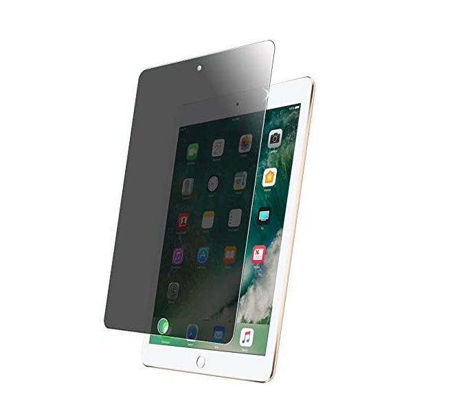 JLC iPad Mini 5/4 Privacy Tempered Glass