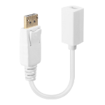 Lindy DisplayPort Male to Mini DisplayPort Female Adapter Cable