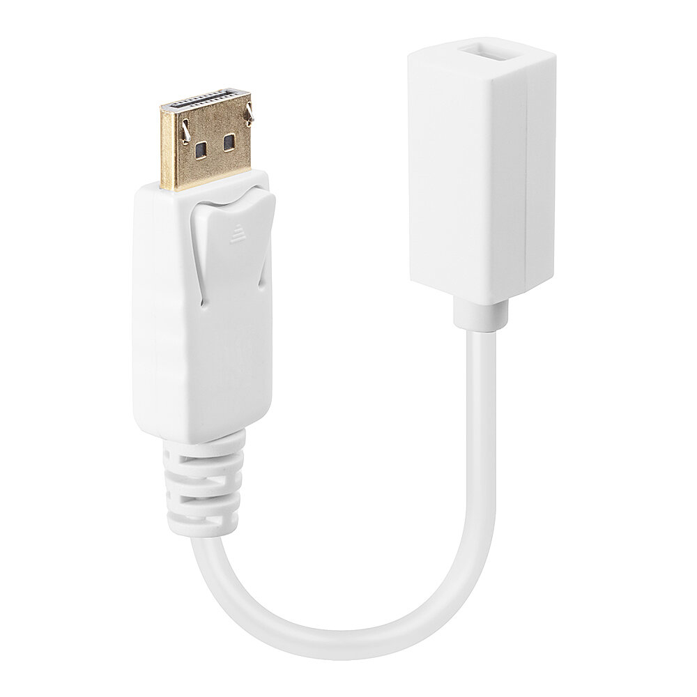 Image of Lindy DisplayPort: DP(M) /Mini-DP(F)