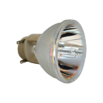 ECL-6509-PG - Projector Lamps -