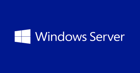 Microsoft Windows Server Datacenter Edition 2 license(s)