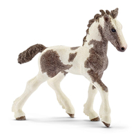 Image of Schleich Farm Life Tinker foal - Boy/Girl - Brown - White - 1 pc(s)