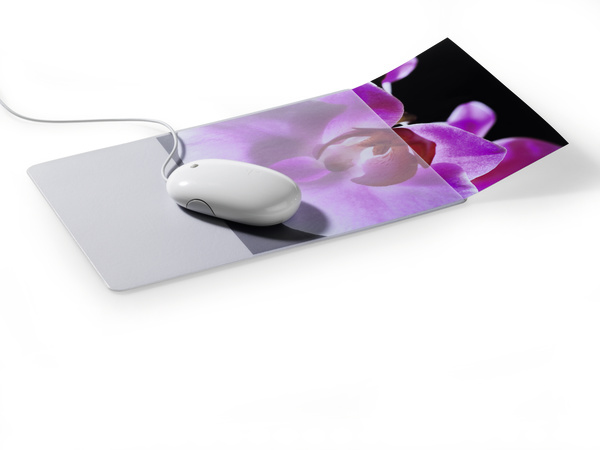 574719 DURABLE Mouse Pad Plus mit Fotoeinschub grau/transp