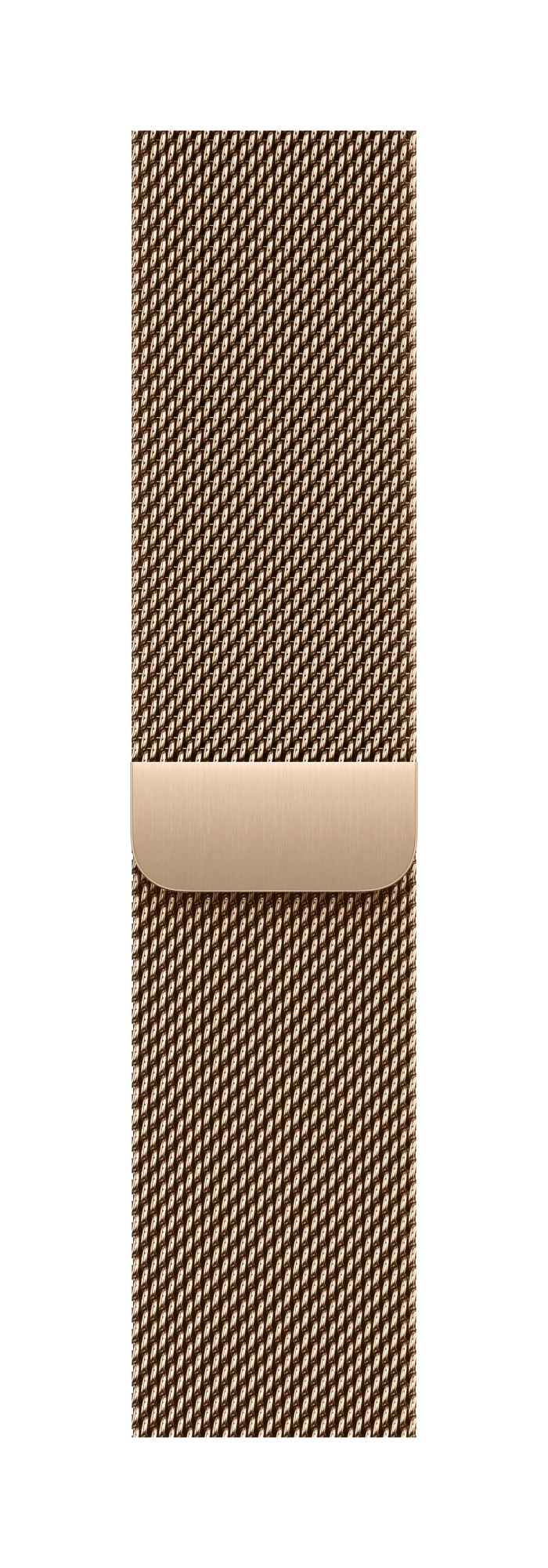 Apple MGHW4ZM/A smart wearable accessory Band Gold Stainless steel