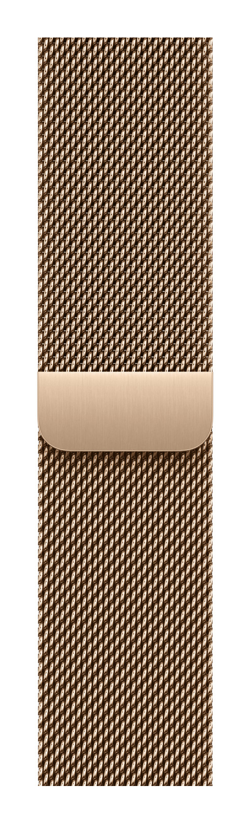 Apple MGJ04ZM/A smart wearable accessory Band Gold Stainless steel