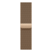 Apple MGJ04ZM/A smart wearable accessory Band Gold Stainless steel