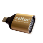 ROLINE 12.03.3233 USB graphics adapter 1920 x 1080 pixels Gold