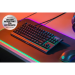 Steelseries APEX 3 TKL keyboard Gaming USB QWERTY US English Black