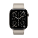 Apple 46mm Natural Link Bracelet