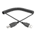 Tripp Lite U022-010-COIL USB cable USB 2.0 122" (3.1 m) USB A USB B Black