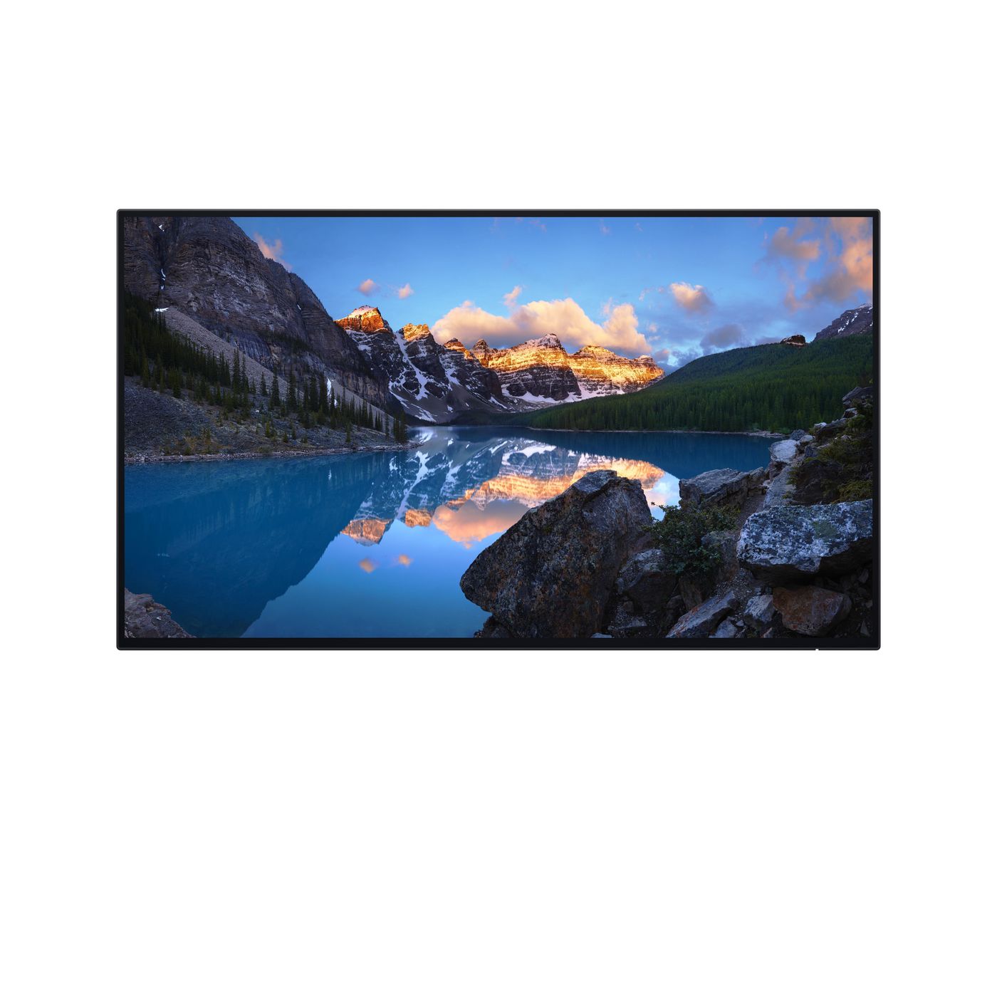 DELL UltraSharp 24 Monitor -
