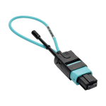 Tripp Lite N844-LOOP-12F network cable tester Black, Blue