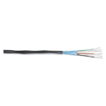 Extron STP20-2P/1000 audio cable 305 m Black
