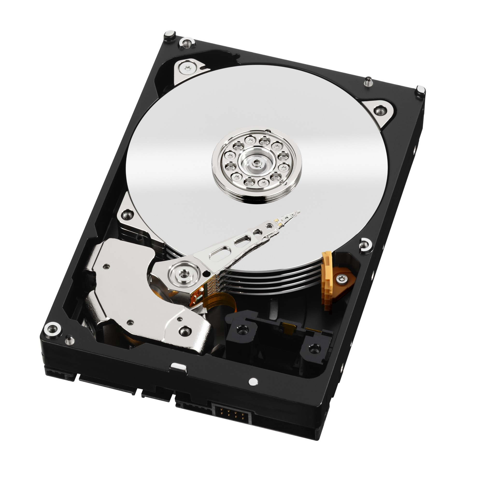 Western digital stock options