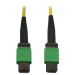 Tripp Lite N390B-02M-12-AP 40/100G Singlemode 9/125 OS2 Fiber Optic Cable (12F MTP/MPO-APC F/F), LSZH, Yellow, 2 m (6.6 ft.)