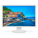 NEC PA243W computer monitor 24.1" 1920 x 1200 pixels WUXGA LED White