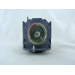 Diamond Lamps Lamp for PANASONIC PT-D6000ELK:PT-D6000ULS:PT-DW530:PT-DX500E:PT-DZ570E:PT-DZ770E:PT-DZ770EL:PT-DX810ES:PT-DX810EK:PT-DW740ES:PT-DW740EK:PT-DZ680:PT-DW640:PT-DX610:PT-D5000:PT-D5000ES:PT-D6000:PT-DW6300:PT-DW730ELS:PT-DW730ES:PT-DX800S:PT-DZ