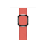 Apple 40mm Pink Citrus Modern Buckle - Small