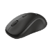 Trust TM-250 mouse Ambidextrous RF Wireless Optical 1600 DPI