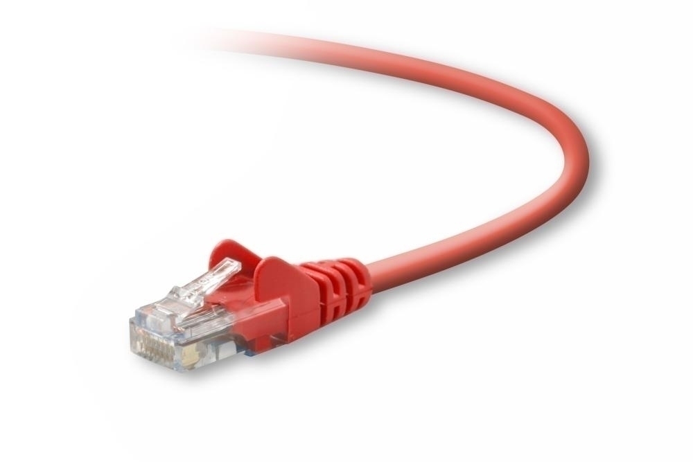 Belkin Cat5e Patch Cable, 15 Ft, 1 X RJ-45, 1 X RJ-45, Red 4