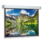 Da-Lite Hapro CSR projectiescherm 3,96 m (156") 1:1