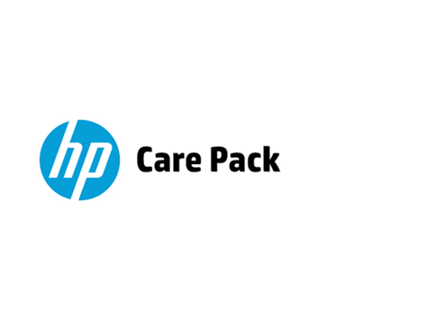 HPE U3YA2E IT support service