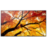 Sharp MultiSync M752 Interactive flat panel 189.2 cm (74.5") LED 550 cd/m² 4K Ultra HD Black 24/7