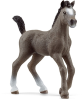 Image of Schleich HC Cheval de Selle Fran. Fohlen 13957