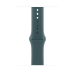 Apple MXLR3ZM/A smart wearable accessory Band Green Fluoroelastomer