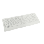 Lenovo FRU00PC422 keyboard USB QWERTY US English White