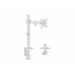 Equip 17"-32" Articulating Monitor Desk Mount Bracket, White