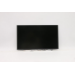 Lenovo FRU IN N140G-E4 C4 HD