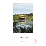 DPSB Hahnemuhle Sugar Cane - 10x15cm 30 Sheets - 300gsm