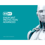 ESET Endpoint Protection Years 2 User Antivirus security 2 year(s)