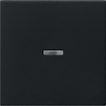 GIRA System 55 Rocker