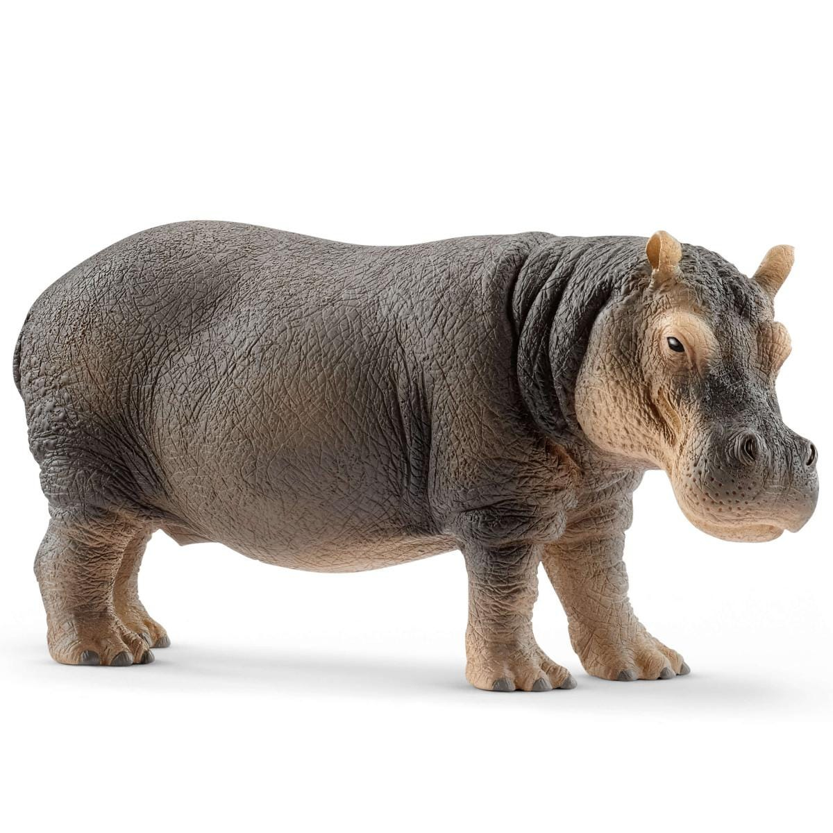 Image of Schleich Wild Life Hippopotamus - 3 yr(s) - Boy/Girl - Multicolour...