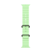 Apple Black Titanium Finish Band Green Fluoroelastomer, Titanium