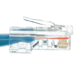 eNet Components Cat6 10ft. networking cable Blue 118.1" (3 m)