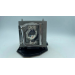 Diamond Lamps Lamp for PANASONIC PT-LW271:PT-LW321:PT-LX271 Projector