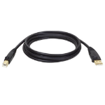 Tripp Lite U022-010 USB cable 120.1" (3.05 m) USB 2.0 USB A USB B Black