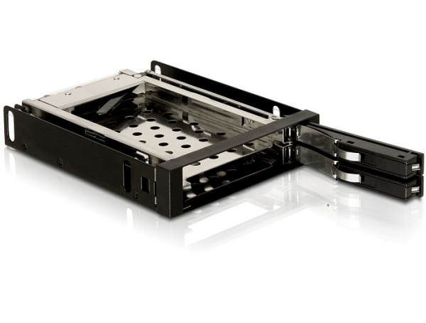 Image of DeLOCK 3.5" Mobile Rack
